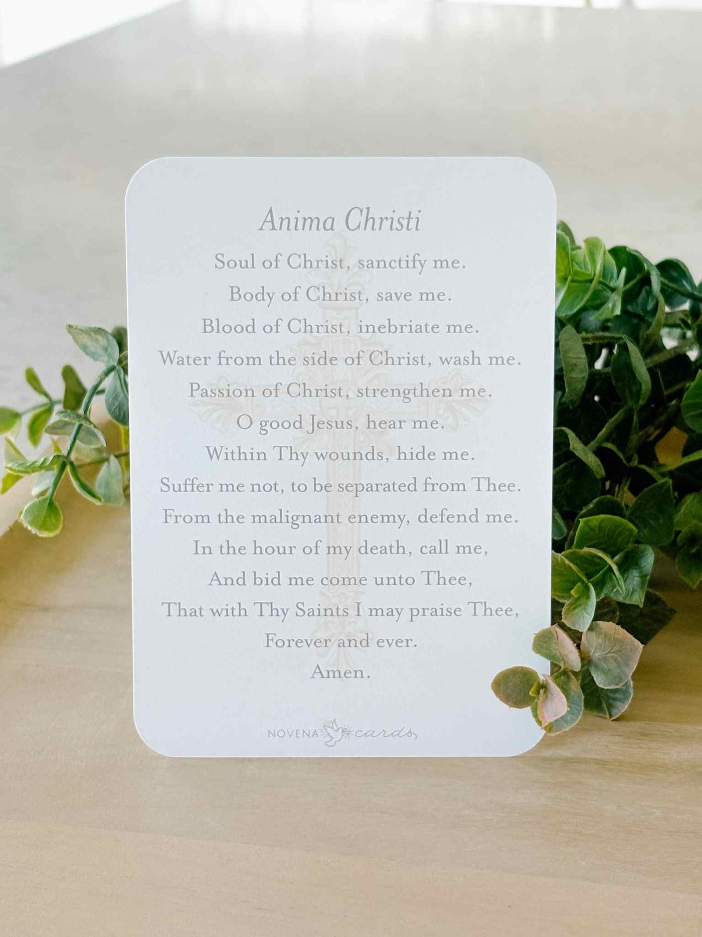 Anima Christi Prayer Card