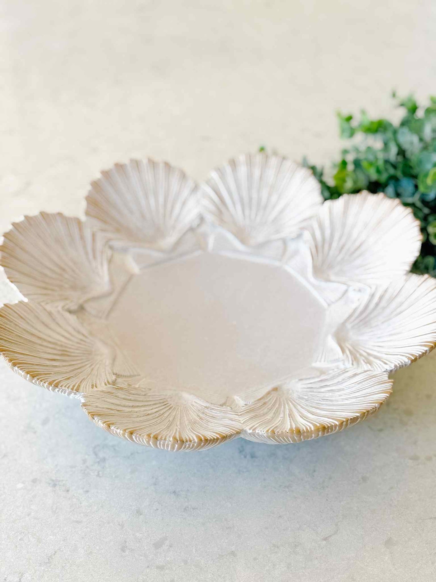 Decorative Shell Bowl