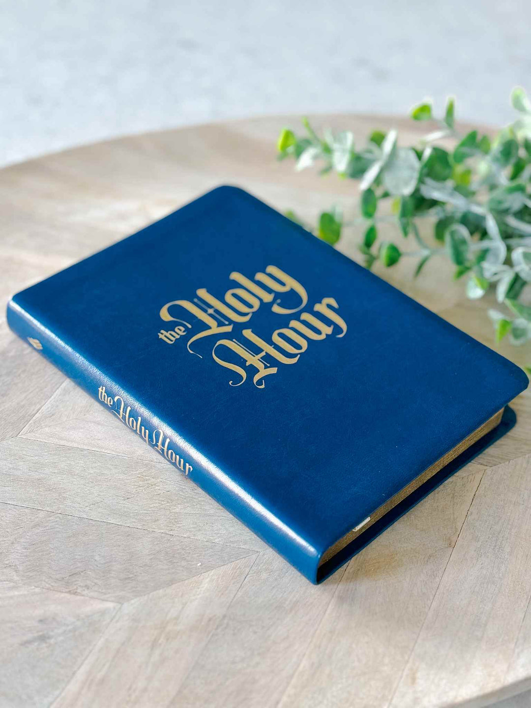 Holy Hour Adoration Companion