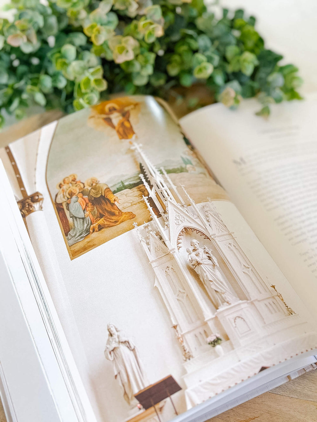 Feast Faith Flourish - Holistic Wellness in Light of Eternity