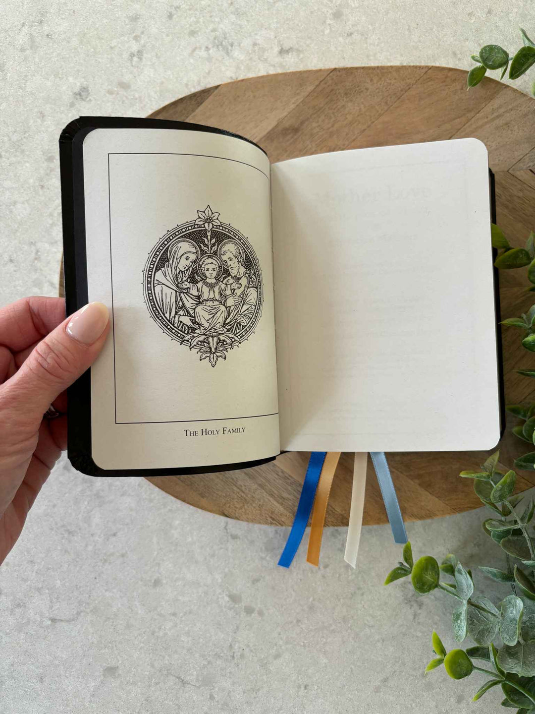 Mother Love Book - Revised