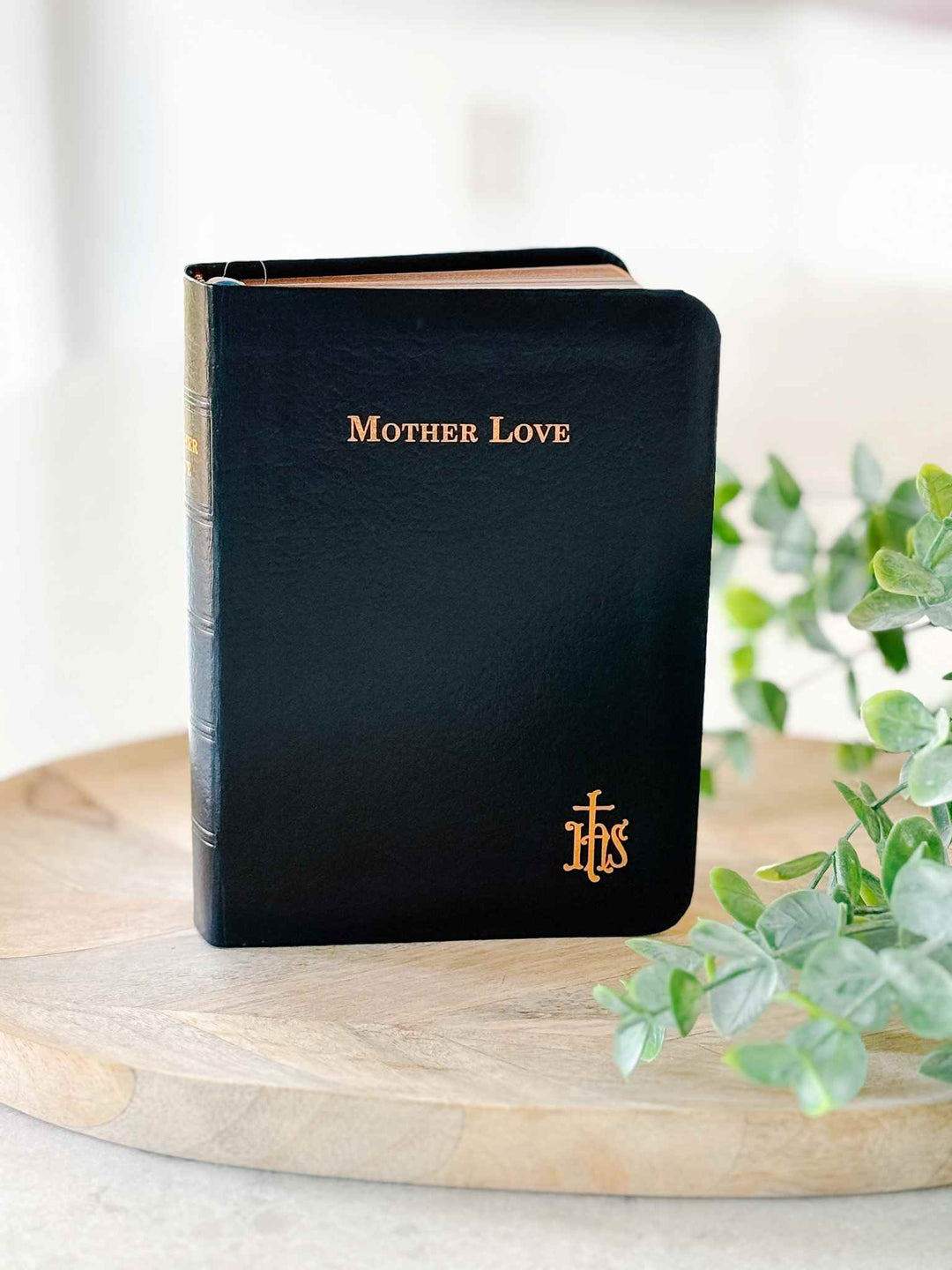 Mother Love Book - Revised