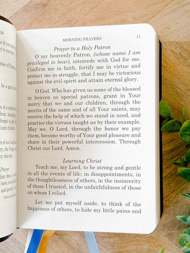 Mother Love Book - Revised