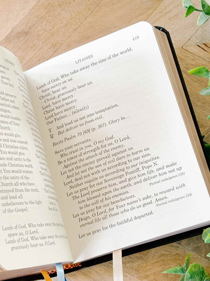 Mother Love Book - Revised