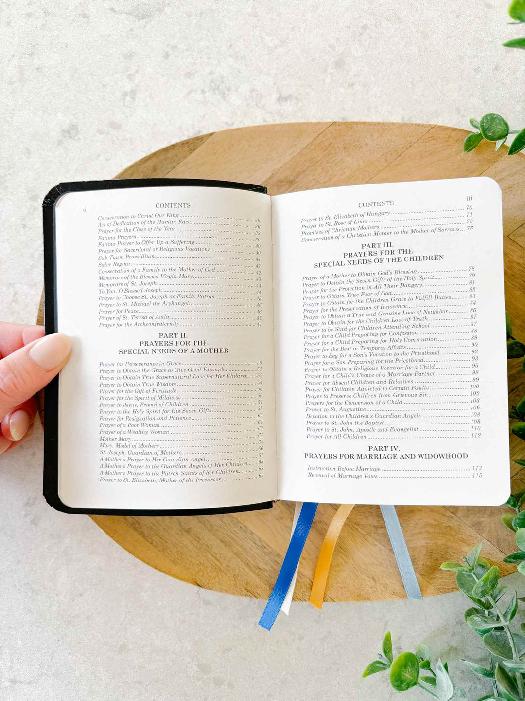 Mother Love Book - Revised