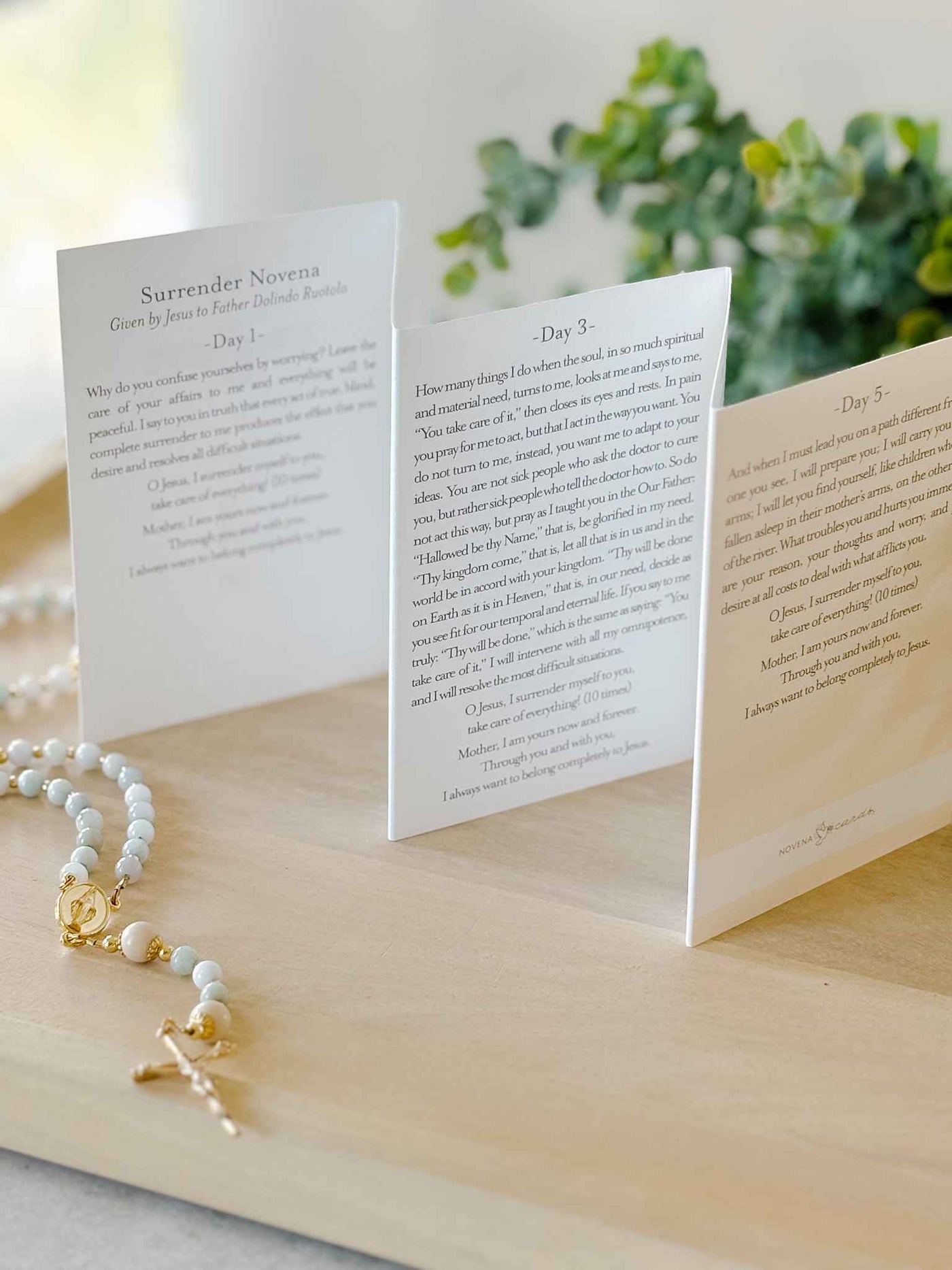 Surrender Novena Prayer Card