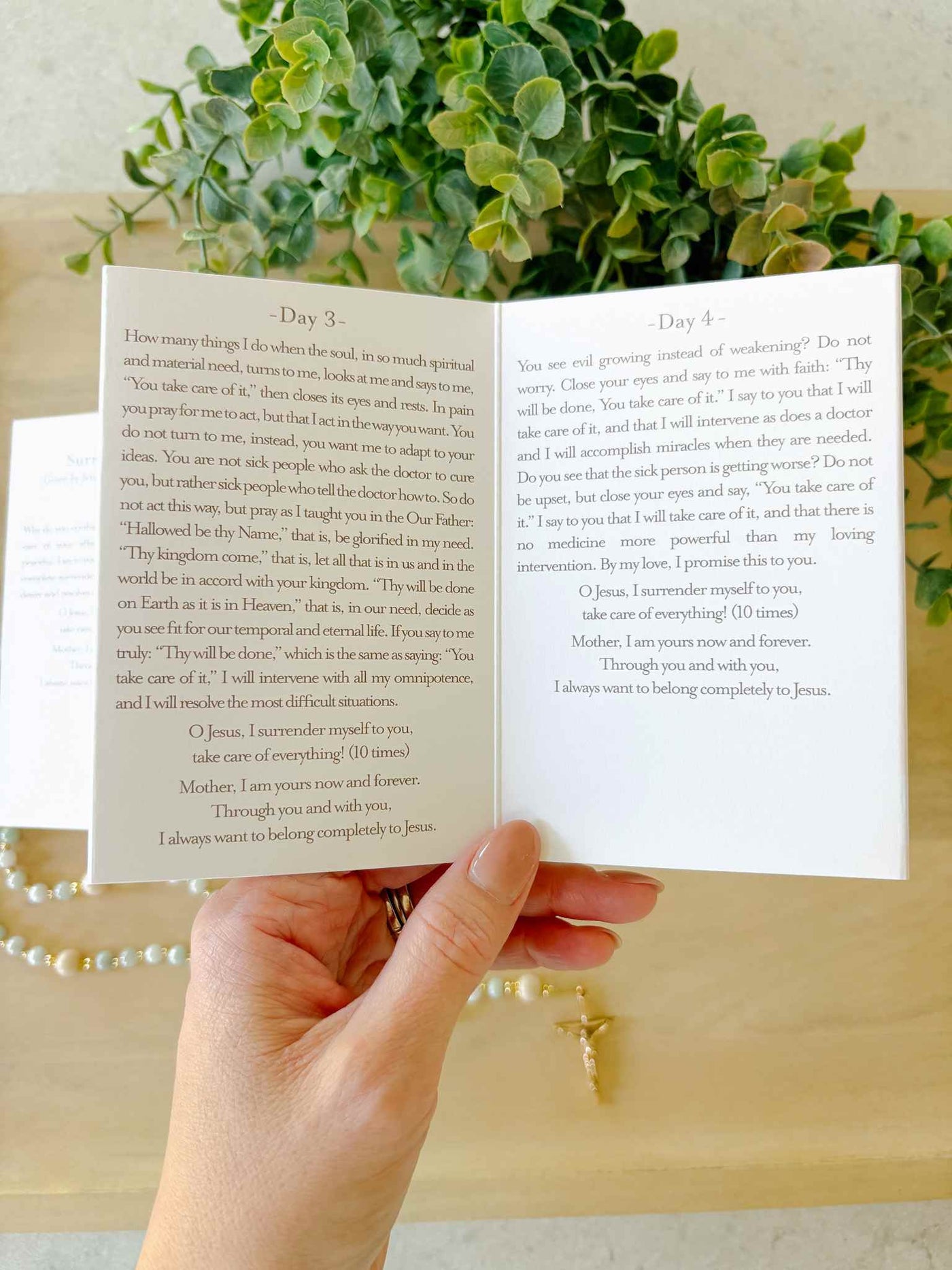 Surrender Novena Prayer Card
