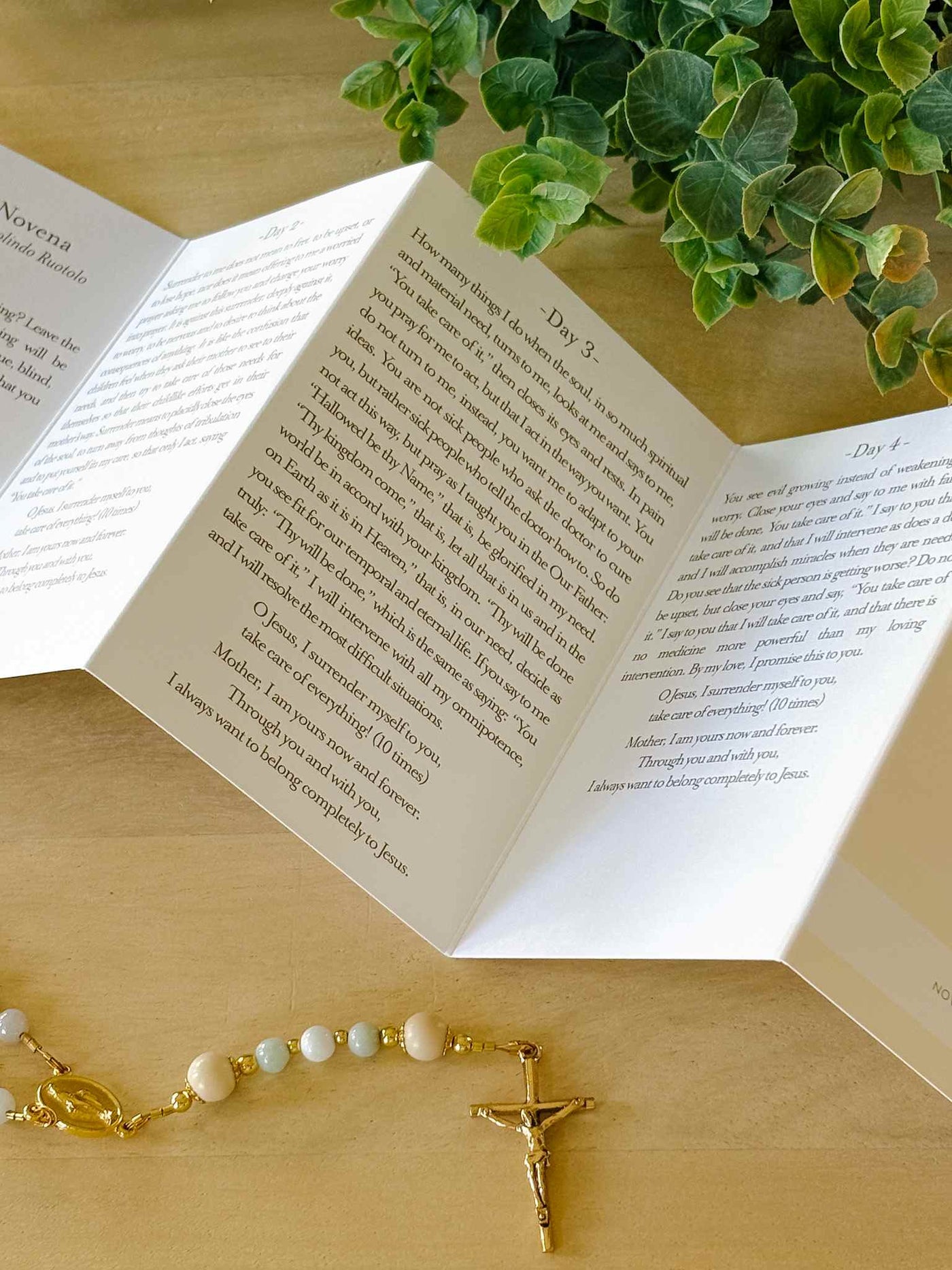 Surrender Novena Prayer Card