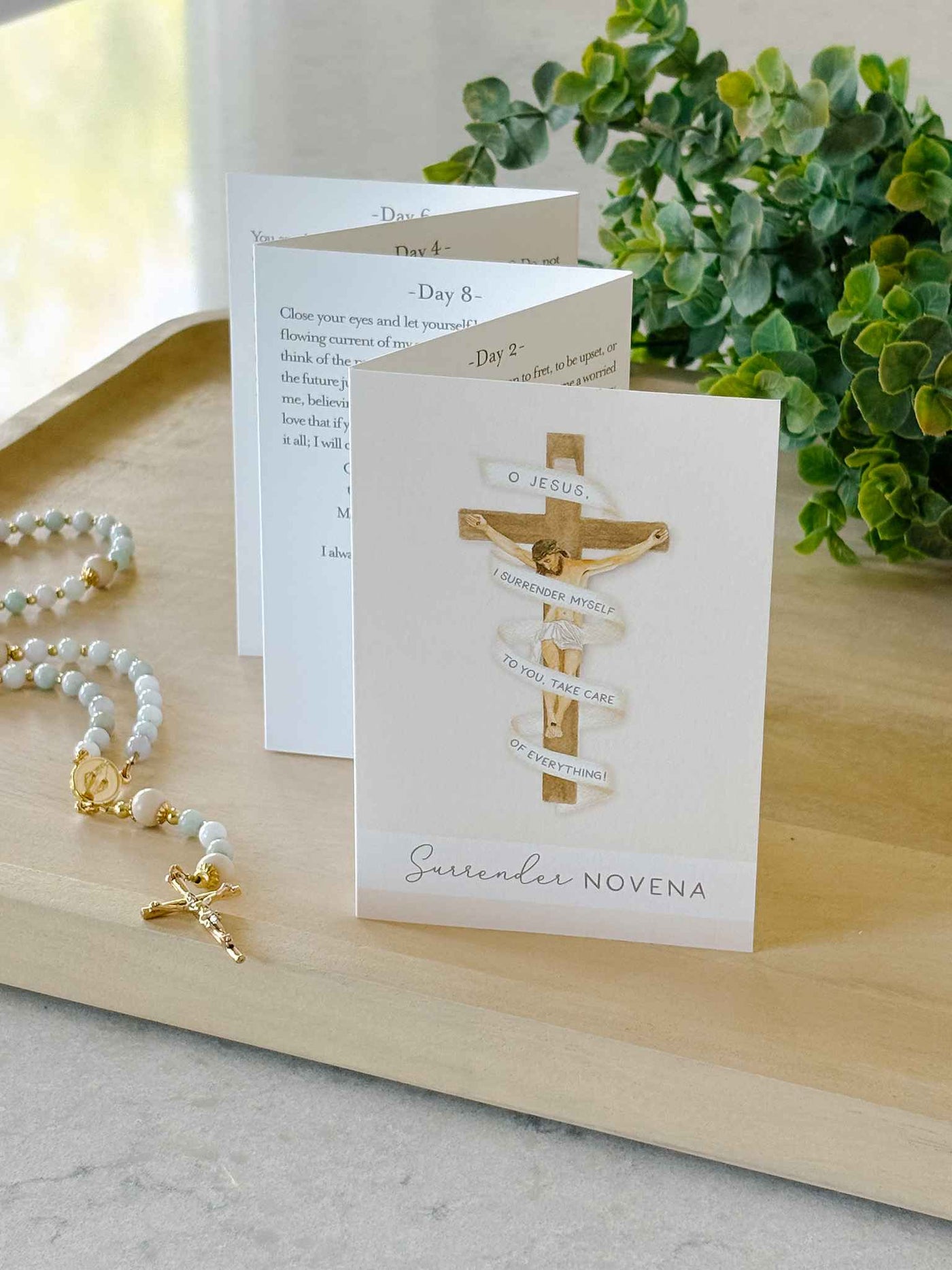 Surrender Novena Prayer Card