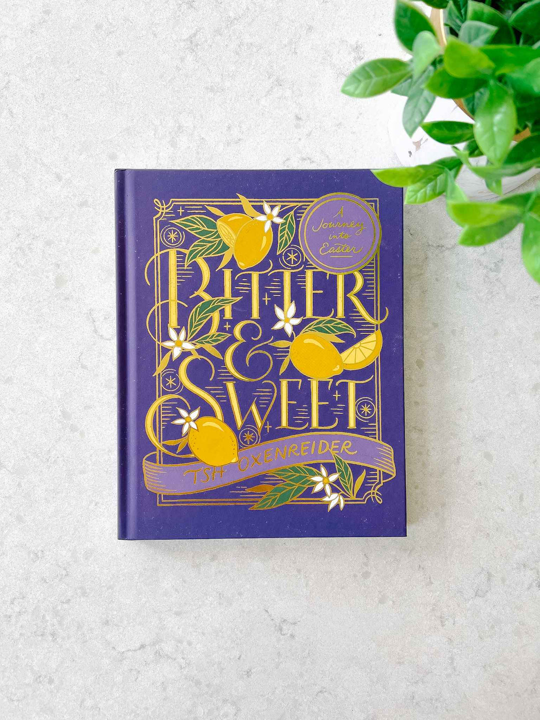 Bitter &amp; Sweet: A Journey into Easter Book