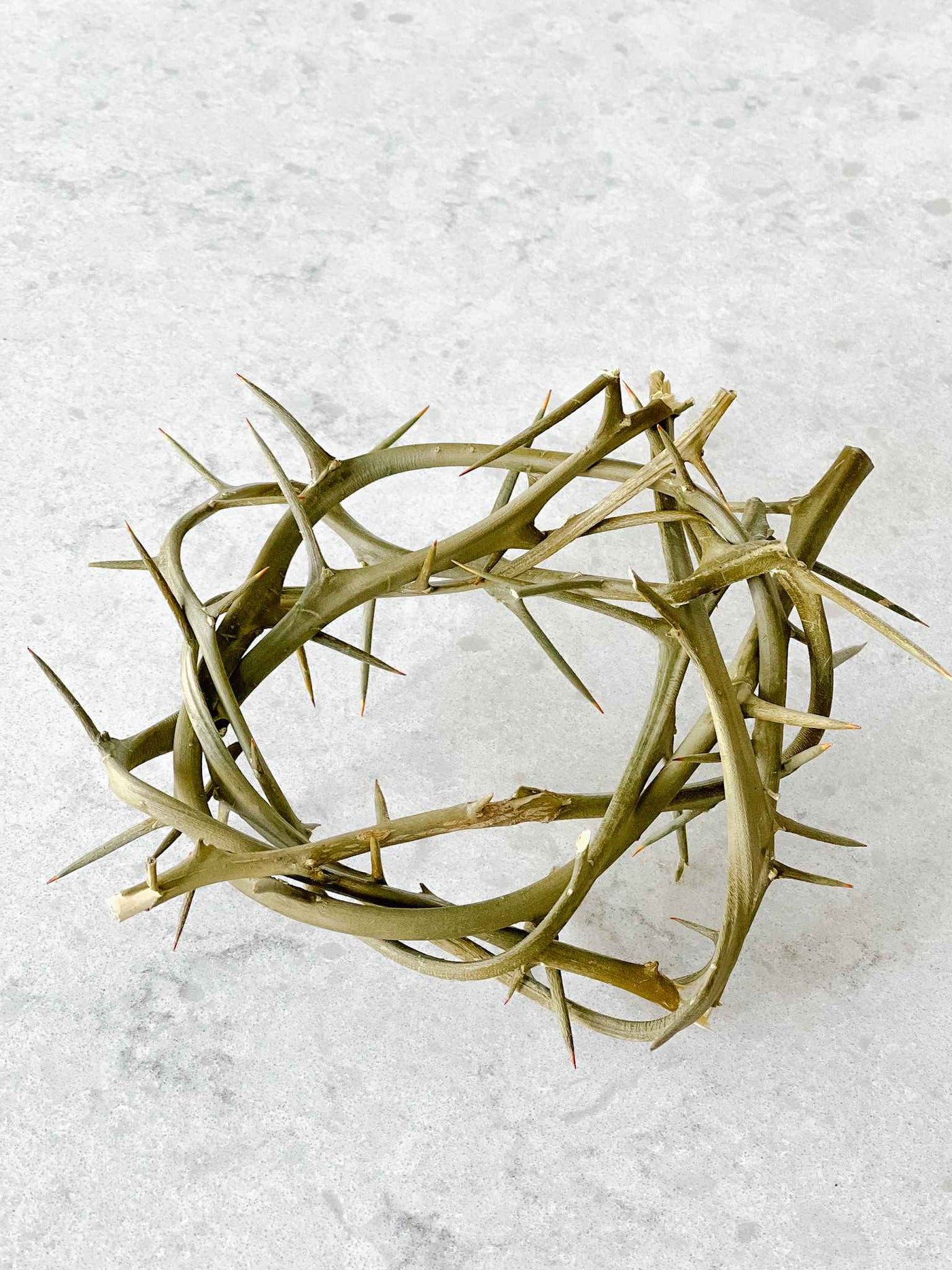 Crown of Thorns