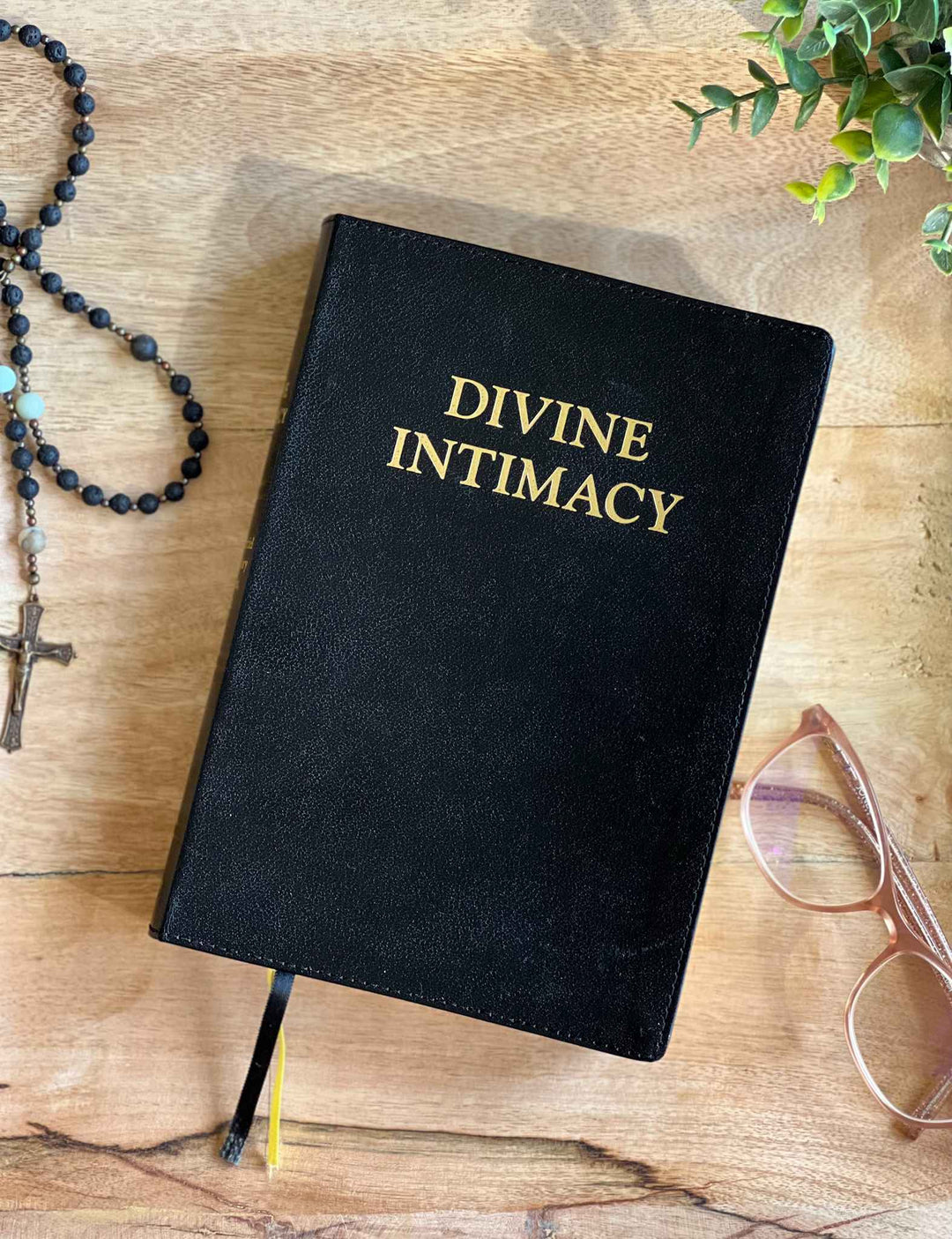 Divine Intimacy Devotional