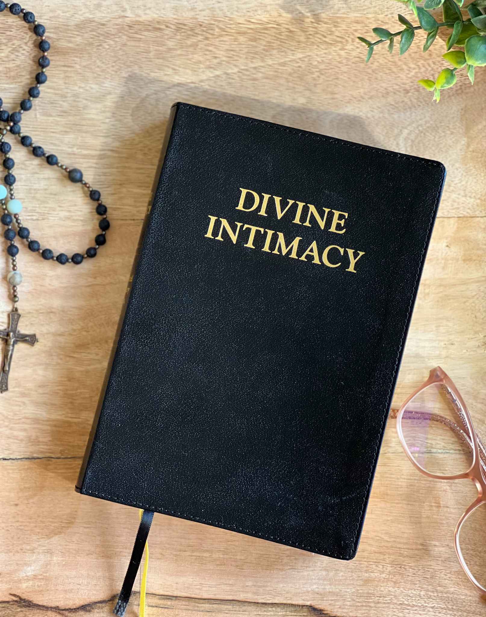 Divine Intimacy Devotional