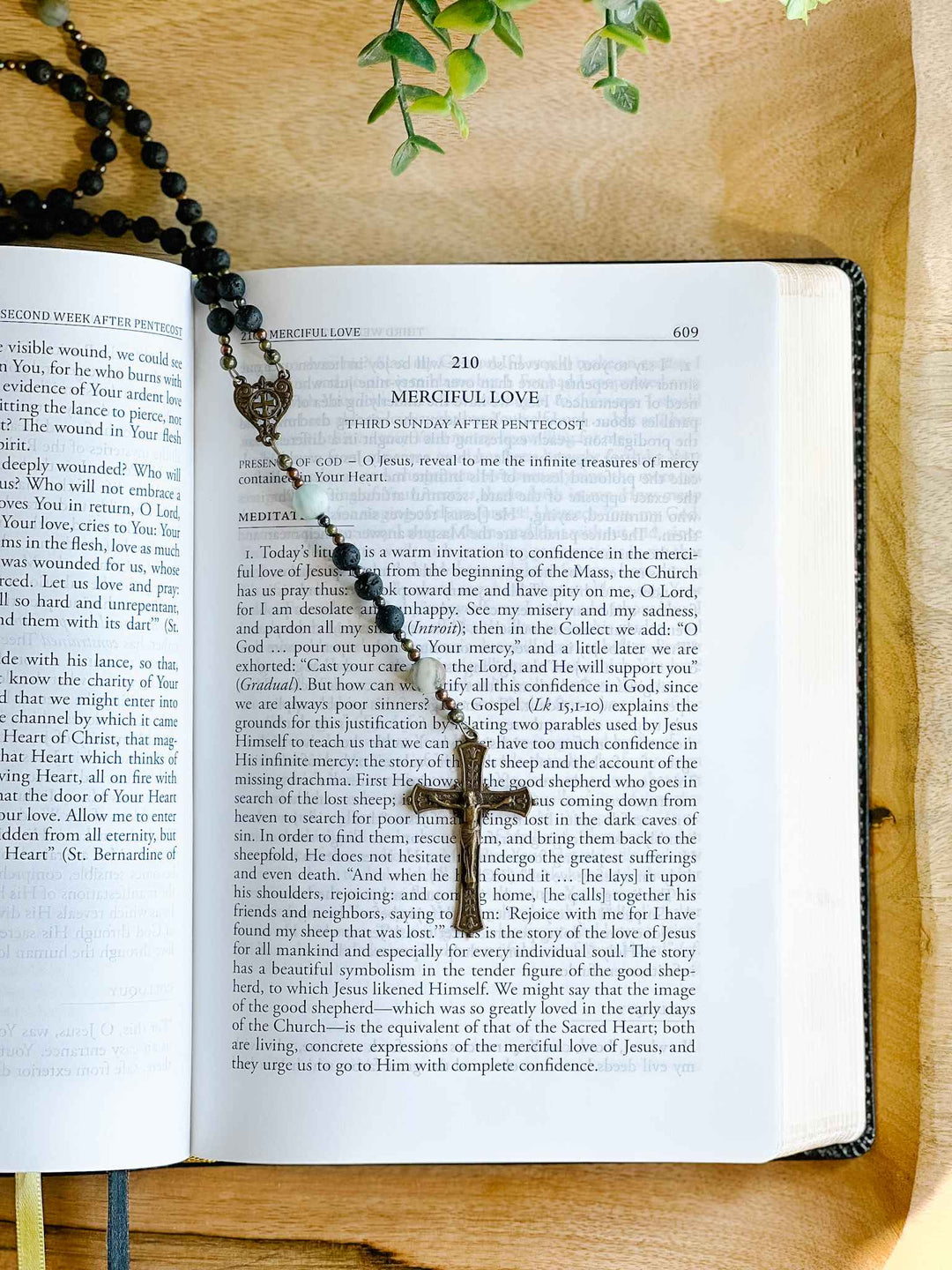 Divine Intimacy Devotional