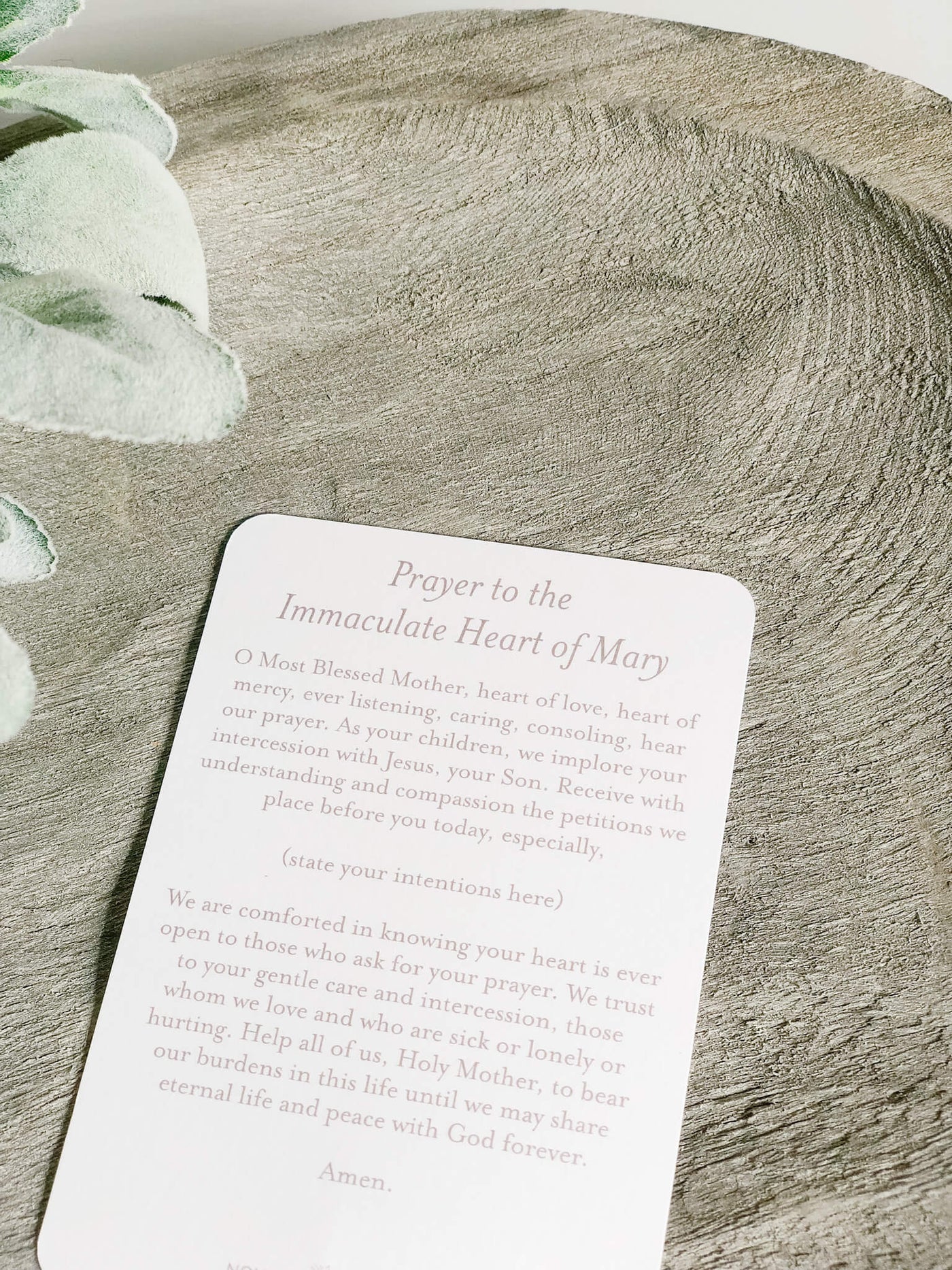 Immaculate Heart of Mary - Prayer Card