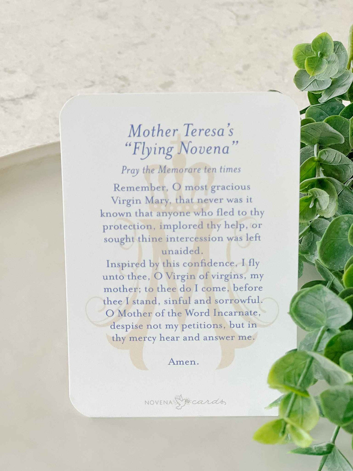 Saint Teresa of Calcutta - Prayer Card